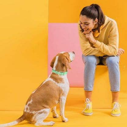 Viper Biothane Heavy Duty Waterproof Dog Collar Strong Coated Nylon Webbing w/Solid Brass Hardware Odor-Proof Easy to Clean High Performance Fits Small Medium or Large Dogs, Sea Foam Green