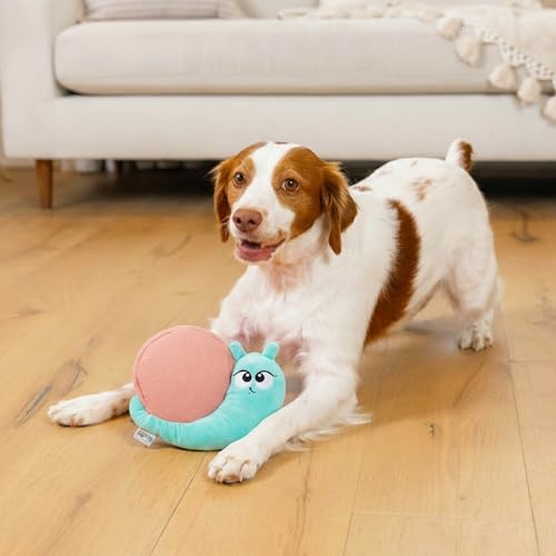 Outward Hound Coated Critterz Dog Toy – Plush & Molded Texture, Squeaky Fetch, Small & Medium Dogs, Snail, 8.7" - color: Coated Critterz Snail