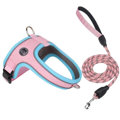 Dog Harness and Leash Set, No Pull Saddle Style Pet Harness, Breathable Mesh Adjustable Reflective Dog Vest for Medium Small Dogs Harness 2 D-Rings, Pink, S - color: Pink, size: S
