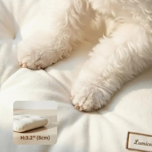 Washable Dog Bed Ultra Soft Plush Dog Crate Mat, Dog Bed for Crate, 3.2" Thick Dog Bed Mat, Kennel Pad for Small and Medium Dogs, Beige (Beige, 24" L x 18" W x 3.2" Th) - size: 24"L x 18"W x 3.2"Th