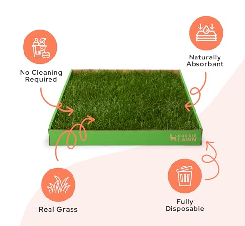 DoggieLawn Real Grass Puppy Pee Pads- 24 x 20 Inches - Perfect Indoor Litter Box for Dogs - No Mess, Easy-to-Use - Potty Training for Pets - Disposable Bathroom with Real Living Grass - size: Medium 24x20 inches