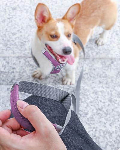 Large Dog Harness and Leash Set,No Pull Adjustable Step in Soft Mesh Vest Harness,Easy Walk Reflective Pet Harness with Padded Handle for Walking Training Small Medium Large Dogs and Cats (Purple, L) - color: Purple, size: L