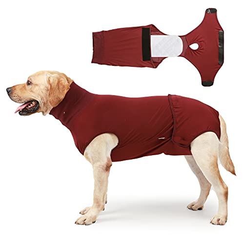 HEYWEAN Full Body Dog Diaper with a Puppy Nappies Physiological Dog Surgery Recovery Suit for Male Female Dogs - color: WineRed, size: X-Large