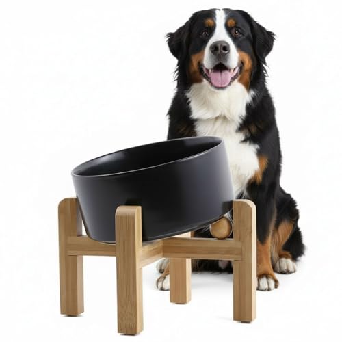 hjn Elevated Ceramic Dog Bowl 15°Slanted Raised Dog Bowl with Bamboo Stand for Small Medium Dogs and Cats, Pet Feeder -7.6-Cup (1800ml)-Black - color: Black, size: 7.6Cup