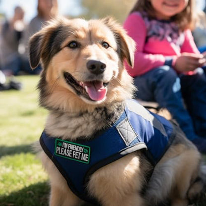 2 Pieces I'm Friendly Please Pet Me Dog Patches, Service Dog Patches with Hook Backing for Service Animal Vests, Harnesses - color: I'm Friendly Please Pet Me