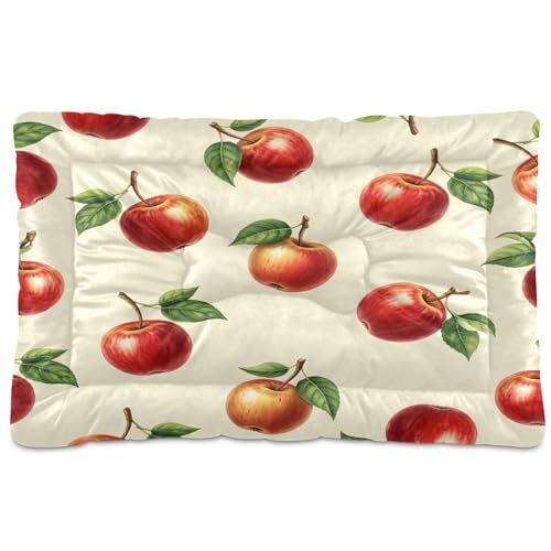 Apples Pattern Pet Bed Mat for Dogs and Cats, Soft Washable Crate Pad with Non-Slip Bottom, Cozy Bed Cushion for Small Medium Large Pets, 24x36 Inch - size: Medium