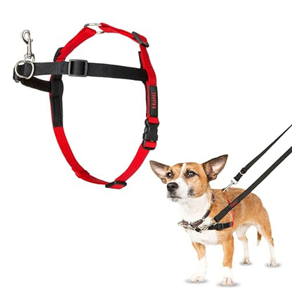 Halti Front Control Harness - Stop Your Dog Pulling on the Leash. Adjustable, Lightweight and Easy to Use. Anti-Pull Dog Training Harness for Small Dogs (Size S) - size: Small