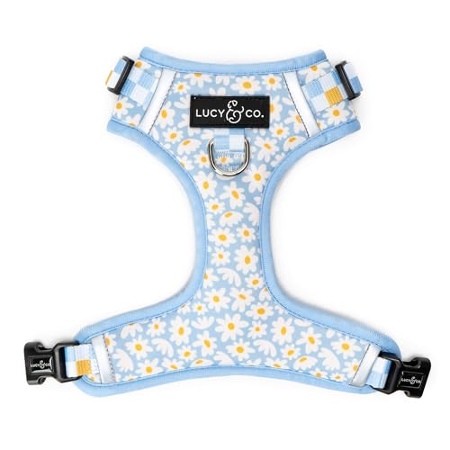 Lucy & Co. The Simply Splendid No-Pull Dog Harness - Size X-Large - Vest to Stop Pulling & Walk Easy - Comfortable Leash Training Product w/Adjustable Chest & Neck Straps - color: The Simply Splendid No-Pull Harness, size: X-Large