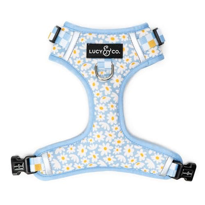 Lucy & Co. The Simply Splendid No-Pull Dog Harness - Size X-Large - Vest to Stop Pulling & Walk Easy - Comfortable Leash Training Product w/Adjustable Chest & Neck Straps - color: The Simply Splendid No-Pull Harness, size: X-Large
