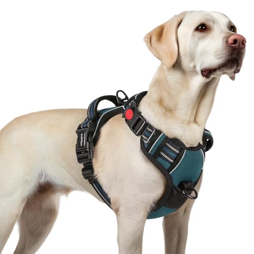 rabbitgoo Dog Harness for Large, No Pull Easy On & Off with 3 Buckles Pet Harness, Adjustable Soft Walking Vest with 2 Clips and Handle, Reflective for Large Dogs, Blue Coral, L - color: Blue Coral, size: Large