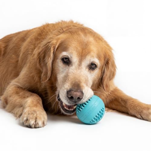 Playology Dog Toys | Dental Chew Ball for Large Senior Dogs| Peanut Butter Scented Jumbo Toy | Dog Balls for Healthy Teeth and Gums - size: Jumbo Chew Ball, style: Peanut Butter
