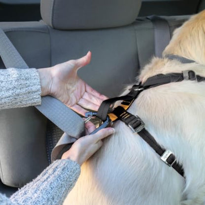 Kurgo Enhanced Strength Tru-Fit Dog Car Harness - Pet Travel Safety Harness - Crash Test Certified Fit - Five Point Adjustment - Secure Buckle - Padded Chest - Ink Blue - Large