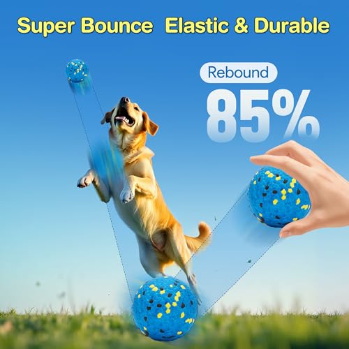 Kimee Dog Ball Stick Bone Chew Toy for Aggressive Chewers, 3 in 1 ETPU Durable Dog Toy Set, Interactive Fetch & Teething Cleaning, Floating Water Toy for Large Medium Small Puppies
