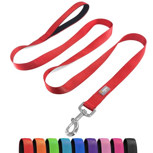 Basic Dog Leashes 6 FT Padded Handle Nylon Dogs Leashes for Small Dogs Red - color: Red, size: Small : 5/8" x 6 FT