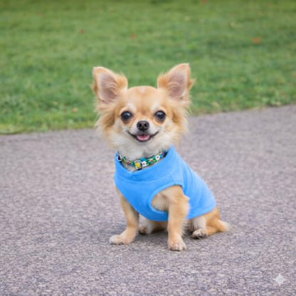 JACKO & CO - Fleece Vest Dog Sweater with Leash Ring - Soft, Warm & Lightweight Pullover Coat for Small & Medium Dogs, Puppies & Cats - Cozy Fall/Winter/Spring Pet Jacket (Blue, X-Small 2-4lbs) - color: Blue, size: XS (2-4lbs)