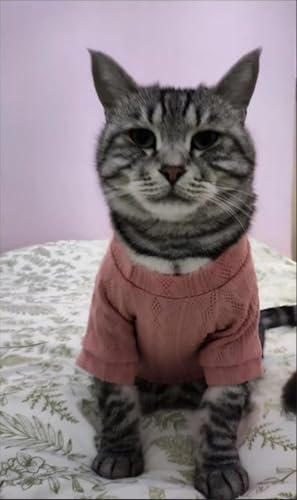 Kitten Clothes, Dog Cat Sweaters Pet Puppy Knitwear Costume Fall Winter Coat for Small Medium Cats Dog Girl Boy Fit 2.2-23lb - color: Pink, size: Medium