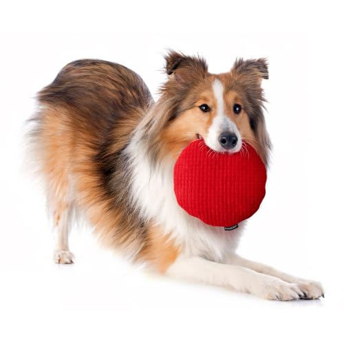 Playology Dog Toys | Plush Toy Crinkle Disc for Large Dogs | Beef Scented Jumbo Plush Chew Toy - size: Jumbo Disc, style: Beef