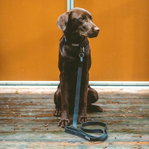 Wilderdog Waterproof Dog Collar - Repels Water & Dirt - Medium 13"-18" - Black - color: Black, size: Medium