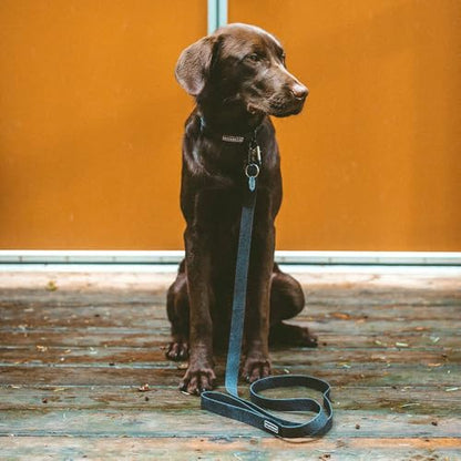 Wilderdog Waterproof Dog Collar - Repels Water & Dirt - Medium 13"-18" - Black - color: Black, size: Medium