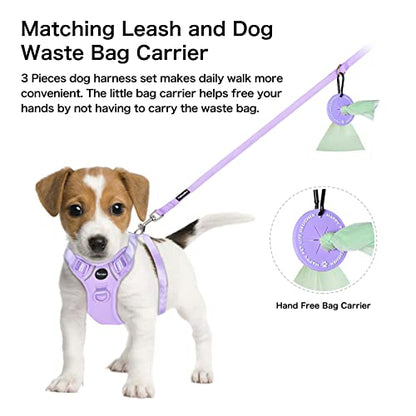 Petmolico Dog Harness for Small Dogs, Cute Harness Vest with Two Leash Clips and Soft Handle, Reflective Easy Walk Puppy Vest - Light Purple, Small - color: Light Purple, size: Small