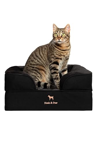 NOAH & PAW Small Dog Bed, 20x15x8 Inch, Cat Bed for Indoor Cats, Orthopedic Eggshell Memory Foam Infused with Cooling Gel, Water Resistant Inner Cover Machine Washable (Denim Collection) - color: Denim - Black, size: Small
