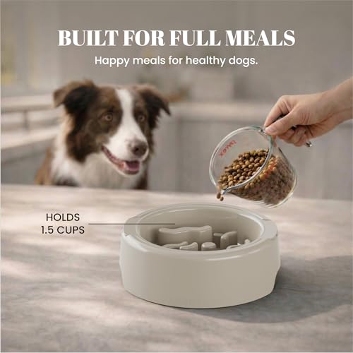 AVERYDAY 3 Pack Slow Feeder Dog Bowl Set, Two Weighted Maze Insert Bowls, Anti-Slip Changeable Puzzle Feeding Bowl for Wet Dry & Raw Dog Food, Slow Eating Deep Pet Food Dish for Medium & Large Breeds - color: Cosmic Graphite