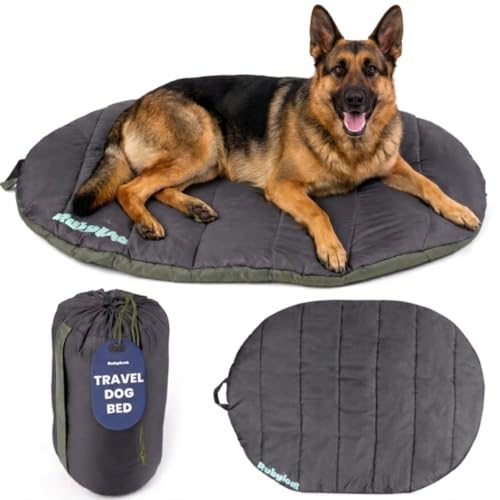 Travel Dog Bed (48" x 36") - Foldable & Packable for Travel, Road Trip, Camping– Lightweight, Water Resistant & Cozy with Soft Padding– Compact, Portable & Machine Washable – Large Breeds: Black - color: Midnight Forest, size: X-Large