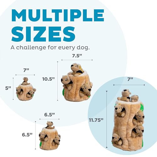 Outward Hound Hide-A-Squirrel Dog Toy – Interactive 2‑in‑1 Plush Puzzle with 6 Squeaky Removable Squirrels, X-Large - color: Squirrel Xlarge
