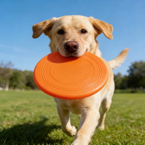 7 Inch Soft Flying Disc for Pets - TPR Non-Slip Floating, Ideal for Beach Games & Interactive Play.