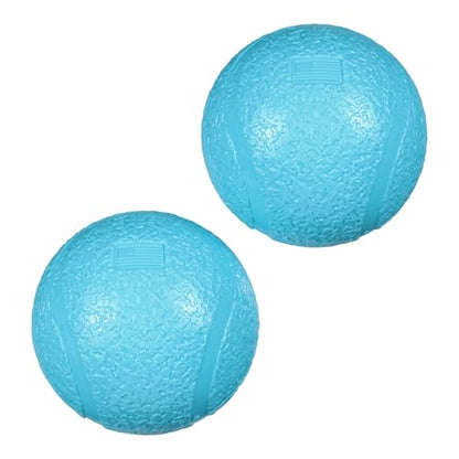 WEST PAW Zogoflex Boundr Ball Puppy Toy – Bouncing Toys for High-Energy Puppy Play - Aggressive Chewers, Catch, Fetch – Floatable, Recyclable, Dishwasher-Safe, Non-Toxic – Small - Aqua Blue - 2-Pack