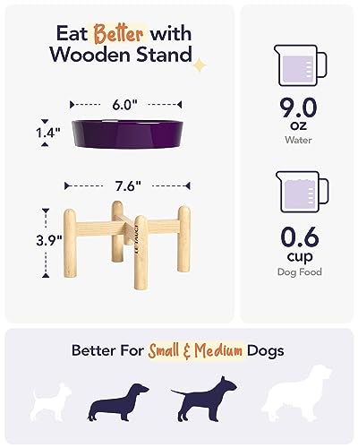 LE TAUCI Ceramic Slow Feed Dog Bowls, Elevated for Small Breeds, Anti-Gulping, Non-Slip, 6 inch, Purple - color: Maze Purple+Stand, size: S-0.6 Cups