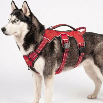 Tuff Pupper Escape Proof No Escape Dog Harness | 5 Point Adjustable Fit Harness for Dogs | Padded Dog Harnesses | Handle Dog Lift Harnesses - color: March Red, size: Large: 27-32 Inch Chest
