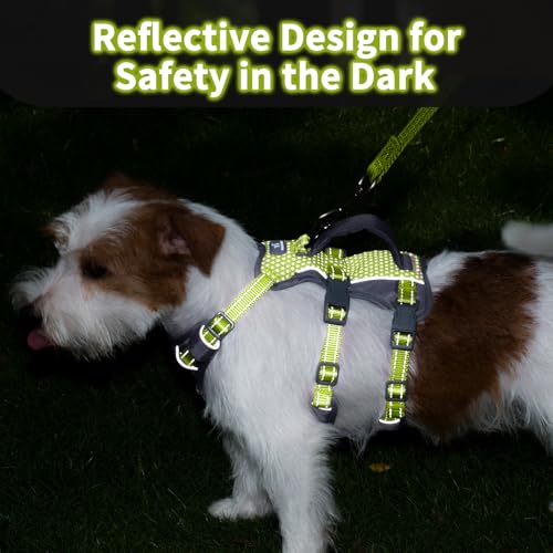 Huntboo Reflective Dog Harness with Handle, Escape Proof, No Slip, Breathable, Lightweight, Adjustable Lift Harness for Small, Medium, and Large Dogs Walking, Training,and Running Gear(Bright Green,S) - color: Bright Green, size: Small (Pack of 1)