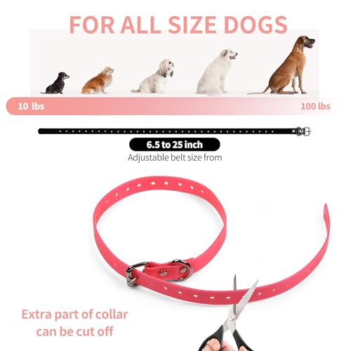 Stone-Tech Dog Collar for Garmin Compatible 3/4" Strap for Garmin PT10 TB10 Delta Sport Delta for Petsafe,PATPET,Sportdog,Dogtra etc straning Collar, Buckle, Adjustable, watherproof