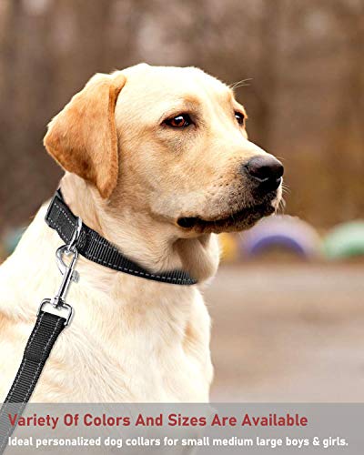 Reflective Dog Collar with Buckle Adjustable Safety Nylon Collars for Small Medium Large Dogs, Black XXS - color: Black, size: XX-Small :Width 3/8",Neck 8-12"