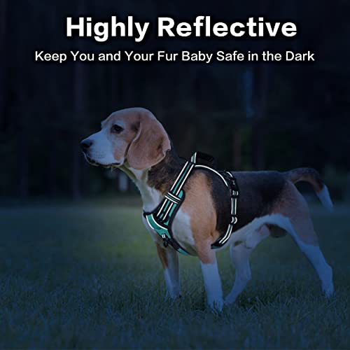 PoyPet No Pull Dog Harness, No Choke Front Clip Reflective Dog Vest with Soft Padded Vertical Handle, 3 Leash Attachments for Small Medium Large Dogs (Mint Blue,M) - color: Mint Blue, size: Medium
