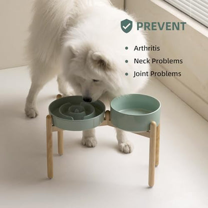 Havniva 9.5” Raised Slow Feeder Dog Bowls Set, 3.2 Cups Ceramic Slow Feeder Dog Bowl and 8.2” Dog Water Bowl with Elevated Wooden Stand Puzzle Dog Food Bowl for Large Dogs Anti-Gulping & Anti-Choking - color: 2 x Light Green+Stand-A, size: 9.5inch