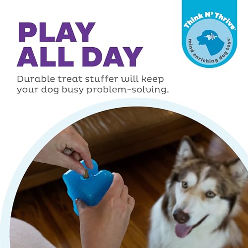 Outward Hound Gummiez Bear Dog Toy & Treat Stuffer, 4.7″ x 3″ Blue Raspberry-Scent Interactive Chew for Dogs, Promote Healthy Teeth, Gums & Mental Enrichment, Reduce Boredom & Support Dental Health - color: Bear