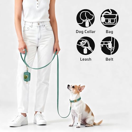 Didog Stylish Dog Poop Bag Holder for Leash, Easy-Pull and Colorful PU Leather Dog Poop Bag Dispenser with Metal Clip, Includes 1 Roll Pet Waste Bag for Daily Walking,Green - color: Green