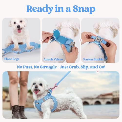 rabbitgoo Dog Harness Small Sized and Leash Set, Step in Soft Light Puppy Vest, Breathable Mesh Pet Harness, Reflective for Safe Easy Walking, Blue & Plaid Trim XXS - color: Blue & Plaid Trim, size: Xxs (chest: 12.4 - 14.2")