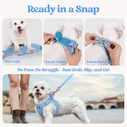 rabbitgoo Dog Harness Small Sized and Leash Set, Step in Soft Light Puppy Vest, Breathable Mesh Pet Harness, Reflective for Safe Easy Walking, Blue & Plaid Trim XXS - color: Blue & Plaid Trim, size: Xxs (chest: 12.4 - 14.2")