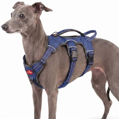 Tuff Pupper Escape Proof No Escape Dog Harness | 5 Point Adjustable Fit Harness for Dogs | Padded Dog Harnesses | Handle Dog Lift Harnesses - color: Midnight Blue, size: X-Small: 13-17 Inch Chest