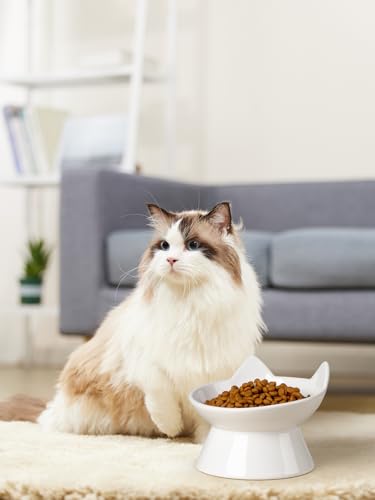ABRUTY Cat Food Bowl, 5 OZ Ceramic Elevated Kitten Water Bowl, 15° Tilted Raised Pet Feeder, Anti Vomiting and Whisker Friendly Dishes for Fat Faced, Cat, Kitten, Small Dog - color: White Cat, size: 2 Pack