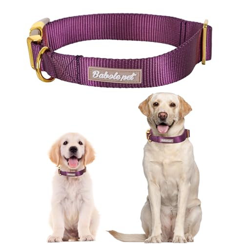 Nylon Dog Collar - Adjustable Deep Purple Soft Webbing Dog Collars for Small Medium Large Dogs Boy Girl Puppy Collar with Safety Metal Buckle XS - color: Nylon-Deep Purple, size: XS