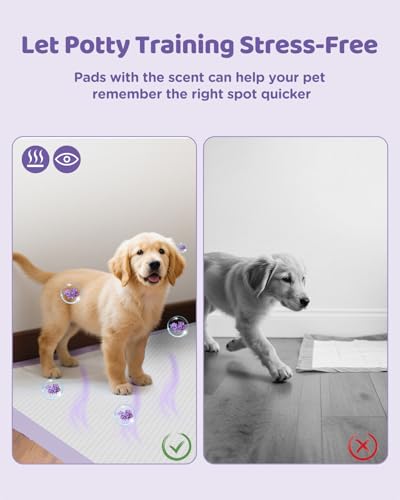 iweepet 36"x36" 4XL Lavender Scented Disposable Dog Pee Pads, 30 Count | Extra Large Puppy Training Pads with 6-Layer Super Absorbent Protection, Leakproof Puppy Pads for Large Dogs & Senior Pets - size: 36"x36" Lavender(30counts)