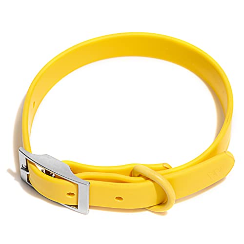 Wild One Dog Collar, Easy-Clean, All Weather Flex-Poly Strap with Metal, Durable, Dirt and Odor Resistant (Butter, M) - color: Butter, size: M