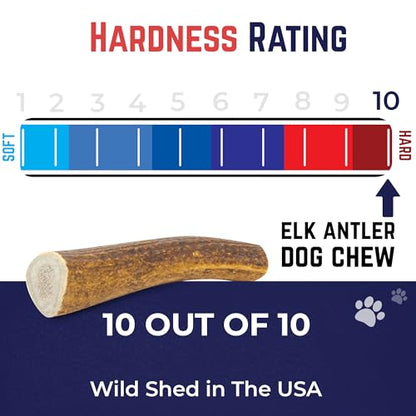 Devil Dog Pet Co. Elk Antlers for Dogs, Natural Dog Chew for Aggressive Chewers - Long Lasting and Odor Free - USA Sourced - Cleaner Teeth, Anxiety & Boredom Relief - Whole Monster 9"+ - Antler Bone - style: WHOLE - Monster - 1 Pack
