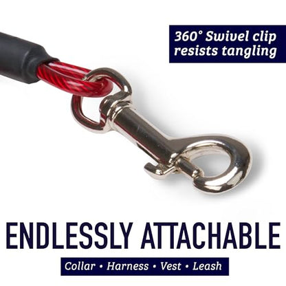 5 Foot Training Tie Out Cable - size: 5 Foot