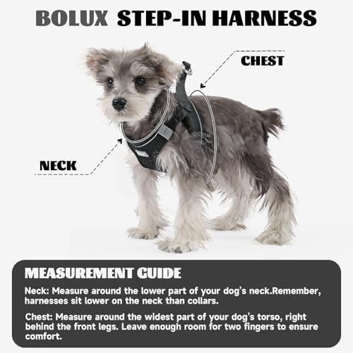 Dog Harness Small Sized and Leash Set, Step in Soft Light Puppy Vest, Breathable Mesh Pet Harness, Reflective for Safe Easy Walking. - color: Black, size: Medium (Pack of 1)