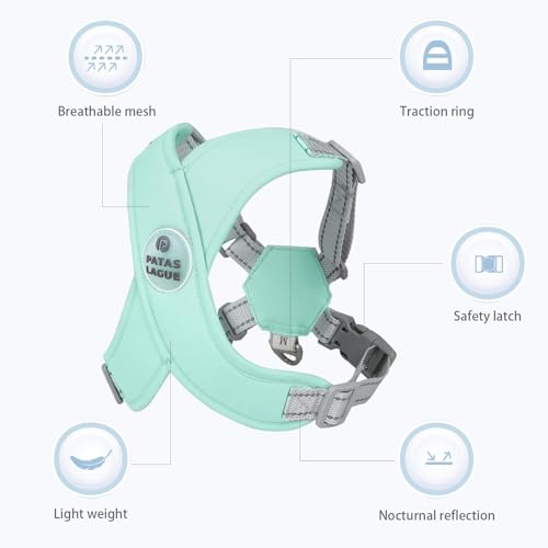 Patas Lague Dog Harness with Leash Set Adjustable Soft Padded Step-in Dog Vest No Choke No Pull Reflective for Small Pets with Poop Bags and Dispenser, Solid and No-chew, Green XS - color: Green, size: XS (Neck 16-19.1'' Chest 18.8-21.5'')